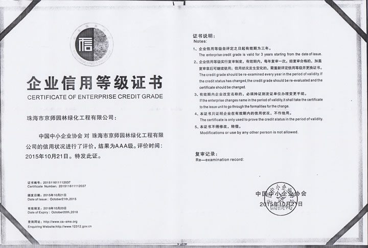 栏目用于追新