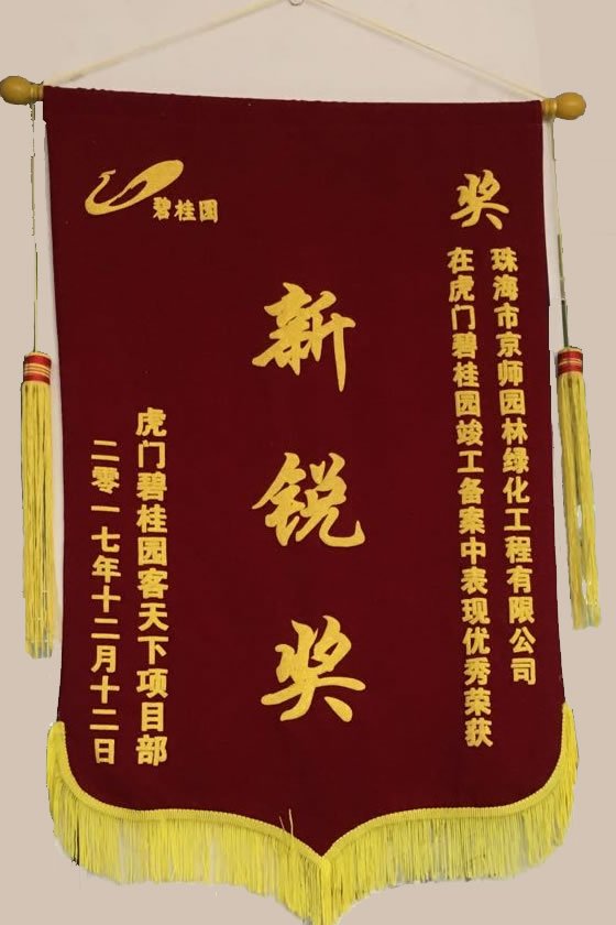 栏目用于追新
