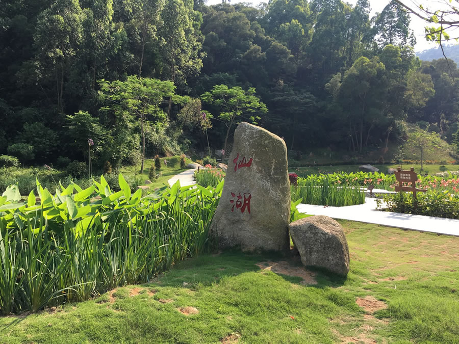 北京师范大学珠海校区坐落在美丽的广东